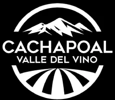 Tours Ruta del Vino Chile